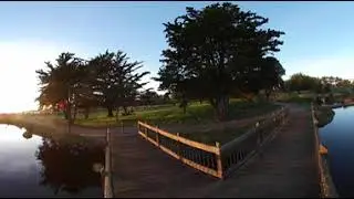 Crab Cove Alameda California Clip 3