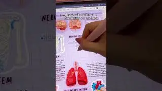pov: you don't like your handwriting so you cheat🤫 iPad note taking | apple pencil