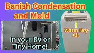 Ditch the Damp - Stop Mold in Your RV or Cargo Trailer Conversion!