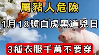 生肖豬必看！明天2026年1月18號，這3種顏色衣服千萬不要穿，否則恐招黴運，全家災禍不斷，神仙都難救！#佛教 #佛家 #佛法 #佛學知識 #佛學智慧 #修心修行 #佛教文化 #禪悟人生#傳統文化
