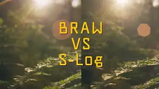 Blackmagic BMCC6K Braw против Sony ZVE1 / FX3 Slog