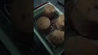 fruit cake bachcho ki# farmaish #song #dance #food #simple #cooking #recipe YouTube shorts reel 👍