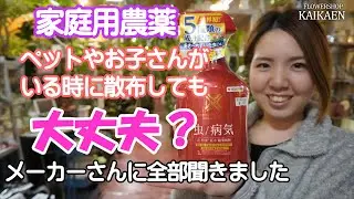 家庭用農薬　ベニカＸネクストスプレー　ペット　お子さん　近くでまいても　大丈夫？　農薬について【おうちでグリーン】【おうちでガーデニング】開花園チャンネル