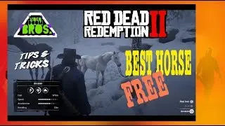 Red Dead Redemption 2 BEST HORSE FOR FREE unique white coat arabian
