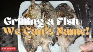 Grilling a Fish We Can’t Name! #cooking #fish