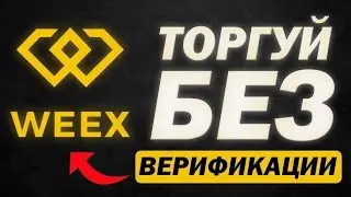 🔥 Обзор биржи WEEX: Регистрация с Промокодом Без Верификации (KYC) и бонусами до 30 000$