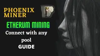 How to Mine Ethereum with Phoenix Miner Guide Urdu Hindi