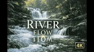 Forest River & Water Sounds 🌿 1 Hour Nature Ambience | 4K Sleep & Relaxation