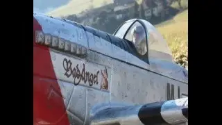 EPP Mustang P-51D 