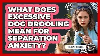 What Does Excessive Dog Drooling Mean For Separation Anxiety? - Obedient Dog Guide