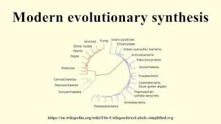 Modern evolutionary synthesis
