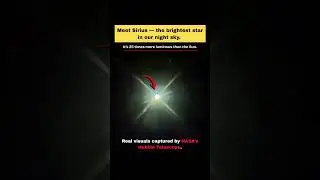 The Brightest Star Ever Seen From Earth 🌟 Sirius Explained #short #shorts #viral #trending #space