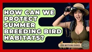 How Can We Protect Summer Breeding Bird Habitats? - Bird Watching Diaries