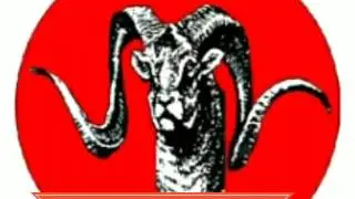 Shaheed ko salami