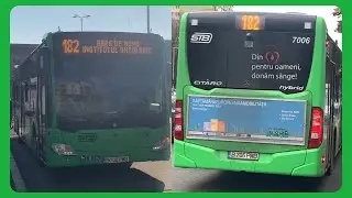 AUTOBUZE HYBRID PE LINIA 182