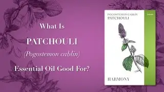 What is Patchouli Essential Oil Good For Video 1 of 2