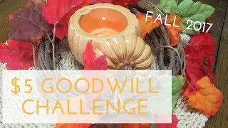 $5 FALL GOODWILL CHALLENGE | 2017 |
