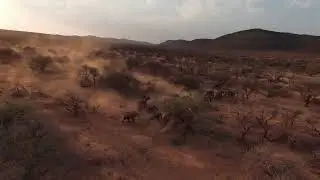 Opuwo Country Lodge | Namibia | Desert Giants