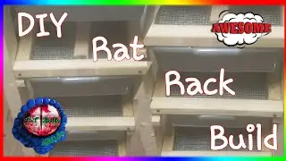 DIY RAT RACK BUILD #diy #rats #budgetbuild