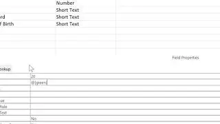 14. Field Properties for Text