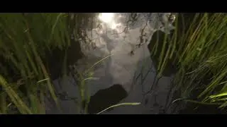 Route 8 feat. Quails - Tomorrow Comes Today (Official Video)
