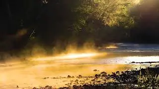 Turnback Creek Morning Light Compilation October 2022