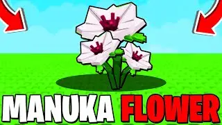 How To GET MANUKA FLOWER & SHOWCASE In Grow A Garden! Roblox