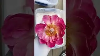 Bouquet Preservation Process #art #resinart #bouquetpreservation #resin