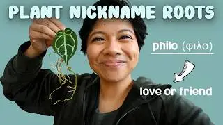 Curious about your favorite plant's name? Find out the origin and what they truly mean!