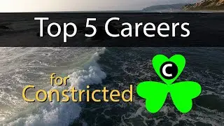 Five Careers for Constricted Personality Types on Tara&rsquo;s Triangle