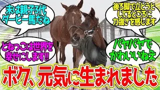 ノーザンファーム初産駒のシャフリヤールっ仔産まれる！に対するみんなの反応【競馬の反応集】
