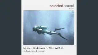 Space Lagoon