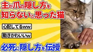 【2ch動物スレ】飼い主が爪の隠し方を知らないと思って心配した猫→必死に隠し方を伝授ｗｗｗｗｗ