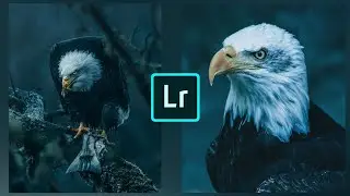 How to Edit Like Fursty in Lightroom Mobile|Malayalam Tutorial