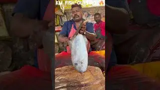 KASIMEDU 🔥 SPEED SELVAM FISH CUTTING VIDEO #kasimeduselvam #speedselvamcutting #fishcutting #shorts