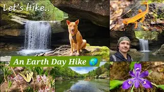 An Earth Day Hike - Dog Slaughter Falls, Cumberland River - Kentucky - 4/22/25
