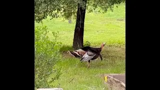 Lake Del Valle Family Campground