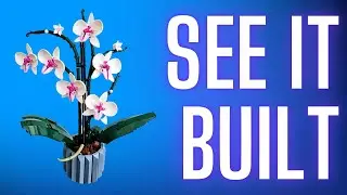Review: LEGO Icons Orchid 10311 Artificial Plant Building Set with Flowers