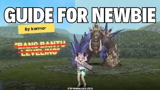 Guide for Newbie | Toram Online