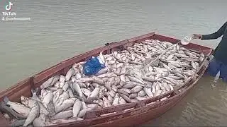 La pesca en villamontes gran chaco tarija bolivia 