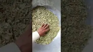 Herbs | Sana leaf | Sana | #jayherbs #JADIBUTI #Herbs #ayur #unani #Ayurvedic #rawherbs.8309989127