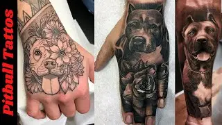 top 30 Pitbull Tattoos For Men