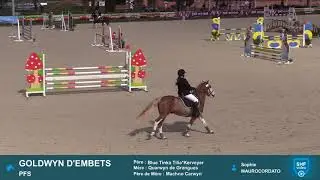 Sologn'Pony 2020 : [Replay Gagnant] de GOLDWYN D'EMBETS, vainqueur des 4 ans C