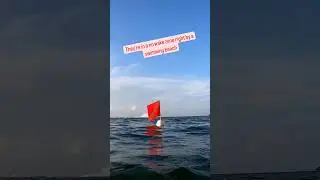 Dangerous Jetskiers Ignore Our Dive Flag #shorts #fyp #boatsafety