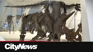 A new permanent home for the ROM