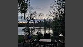 Mon chat, mon &acirc;me soeur