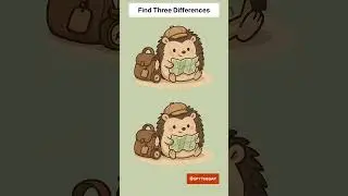 Can You Spot the Differences? 🦔🗺️ | Hedgehog Explorer Puzzle