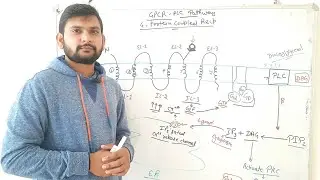 GPCR-PLC Pathway|CSIR NET|