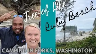 Forks, WA - Mora Campground - RV Life