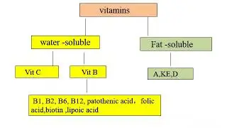 Vitamins